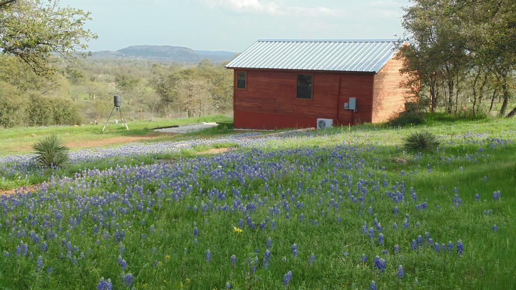 Llano Texas T Bed And Breakfast المظهر الخارجي الصورة
